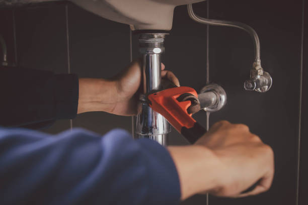 Best Toilet Repair Services  in Franklin Grove, IL